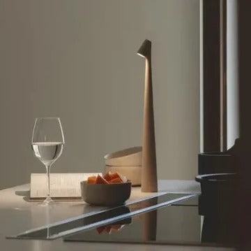 Nordic LED Mood Lamp